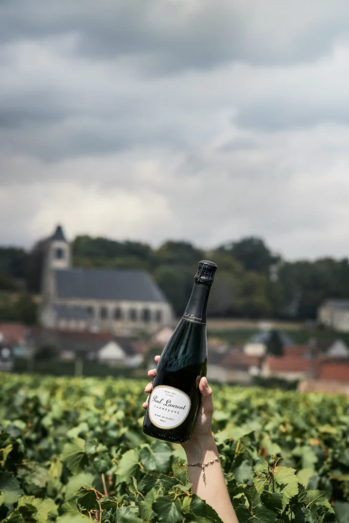 cuvee blanc de blancs champagne paul laurent vignes bethon