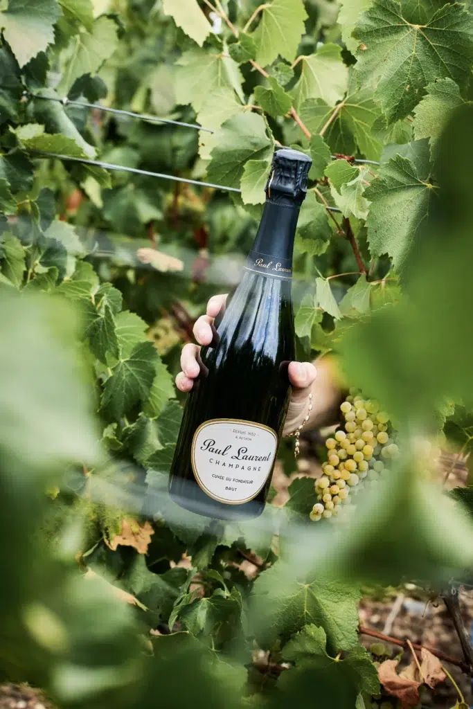 cuvee du fondateur champagne paul laurent vigne bethon
