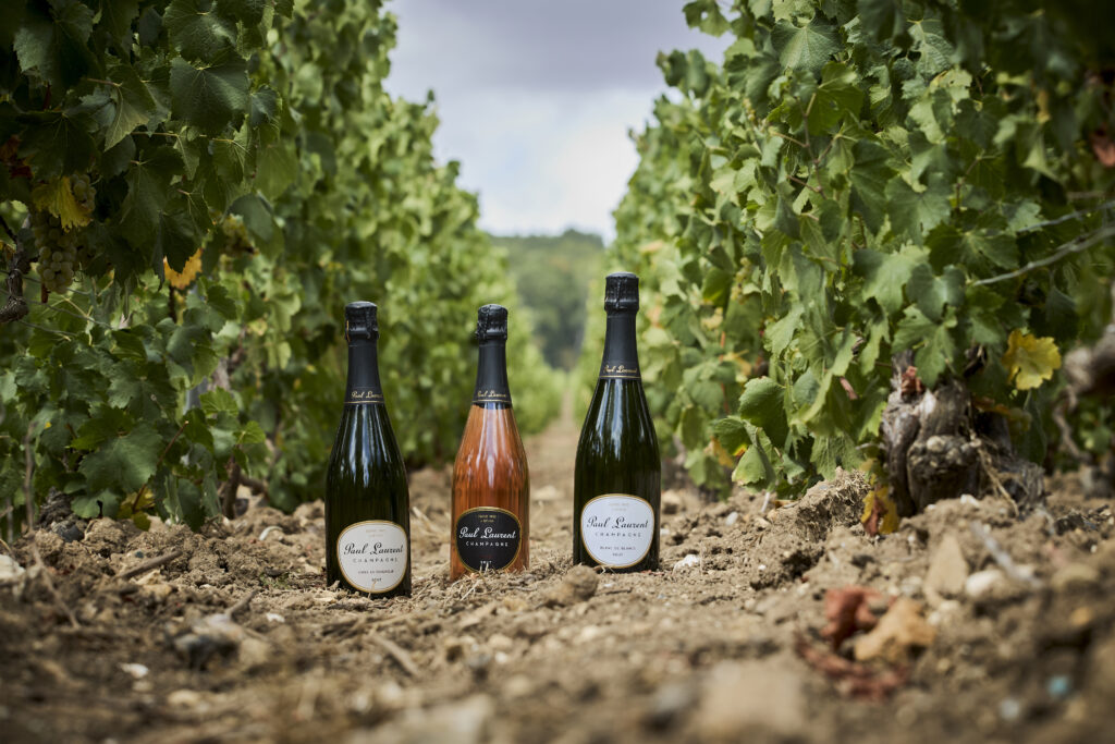 cuvees champagne paul laurent bethon vignes